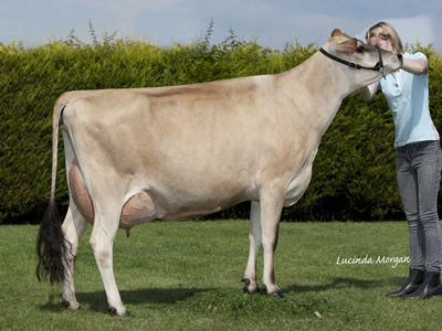 Bluegrass charlies easter blondette